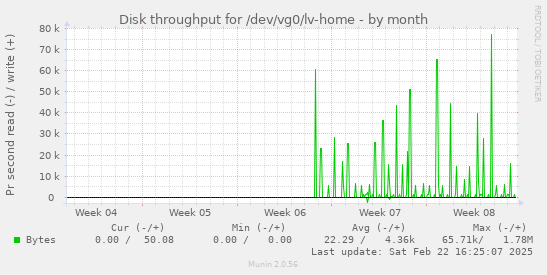 Disk throughput for /dev/vg0/lv-home