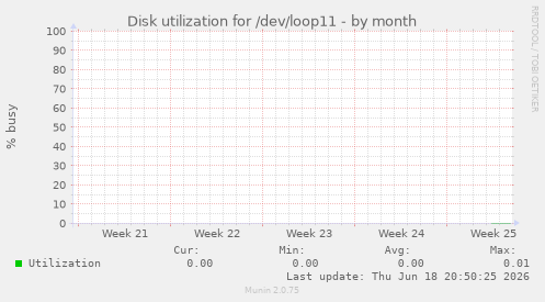Disk utilization for /dev/loop11